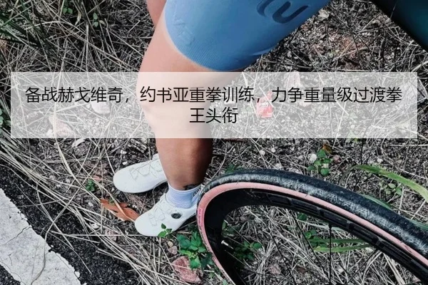 备战赫戈维奇，约书亚重拳训练，力争重量级过渡拳王头衔