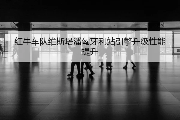 hong-niu-che-dui-wei-si-ta-pan-xiong-ya-li-zhan-yin-qing-sheng-ji-xing-neng-ti-sheng-2-753.jpg