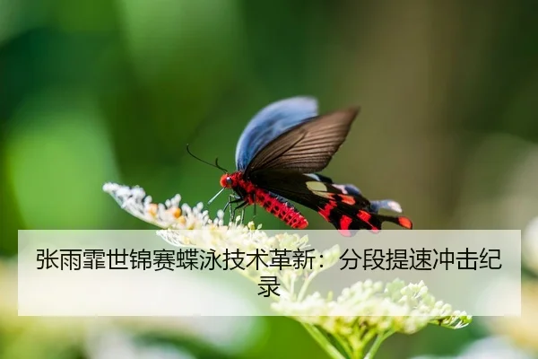 张雨霏世锦赛蝶泳技术革新：分段提速冲击纪录