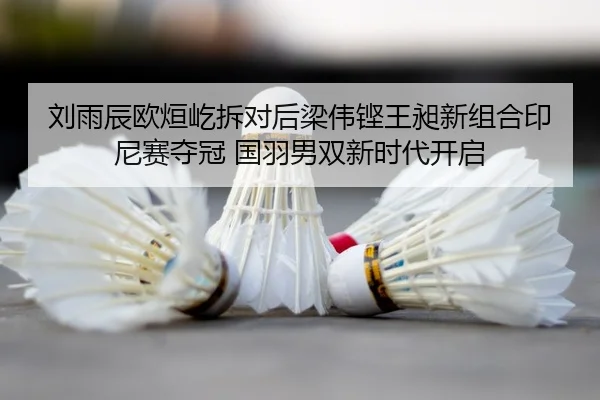 liu-yu-chen-ou-xuan-yi-chai-dui-hou-liang-wei-keng-wang-chang-xin-zu-he-yin-ni-sai-duo-guan-guo-yu-nan-shuang-xin-shi-2-230.jpg